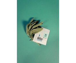 Integra Boost 62% 4g, PINENE, 1ks